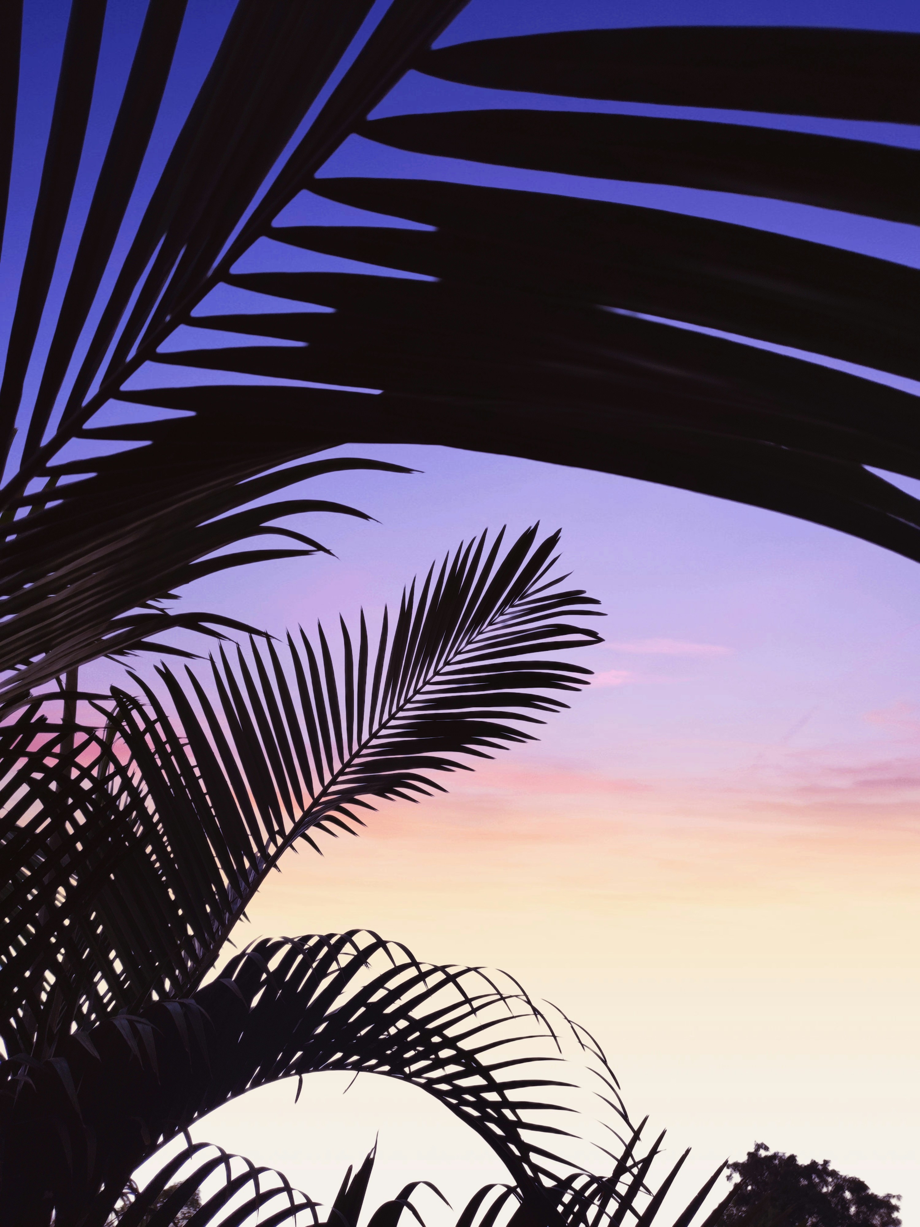 Photo by nikhilnik390