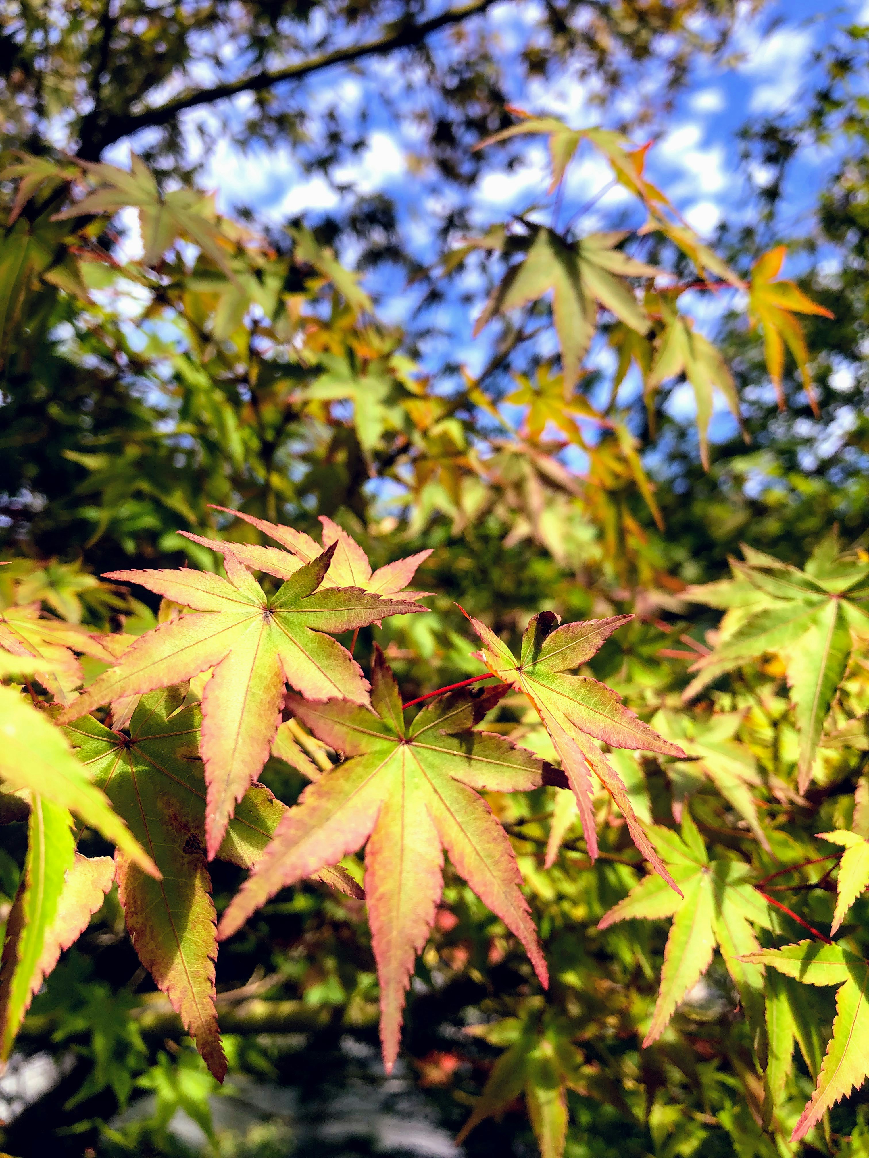 3.鍼灸院のエキスパートが解説！美容鍼の効果とは