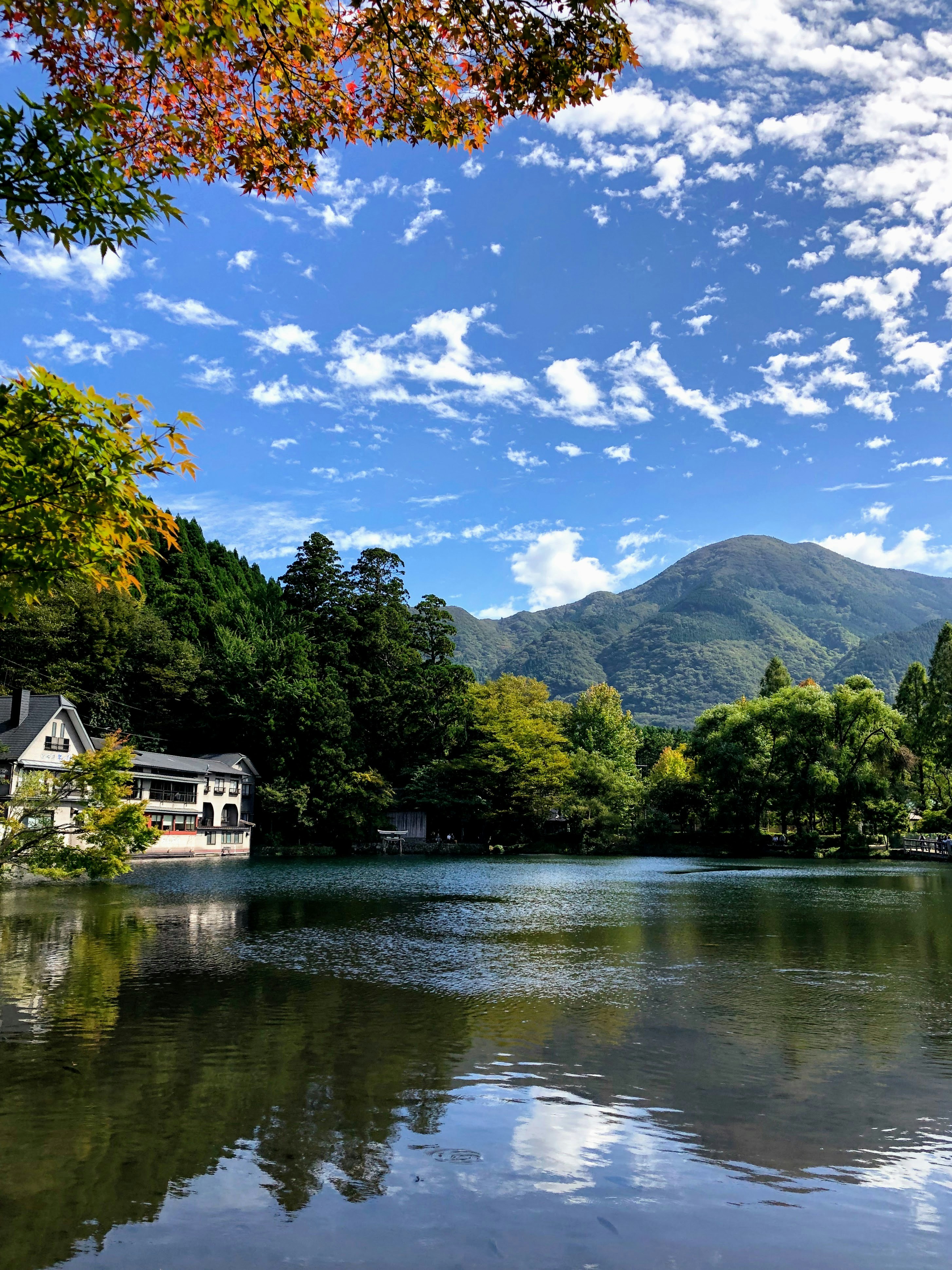 White and brown house near green trees and lake under blue sky during ...