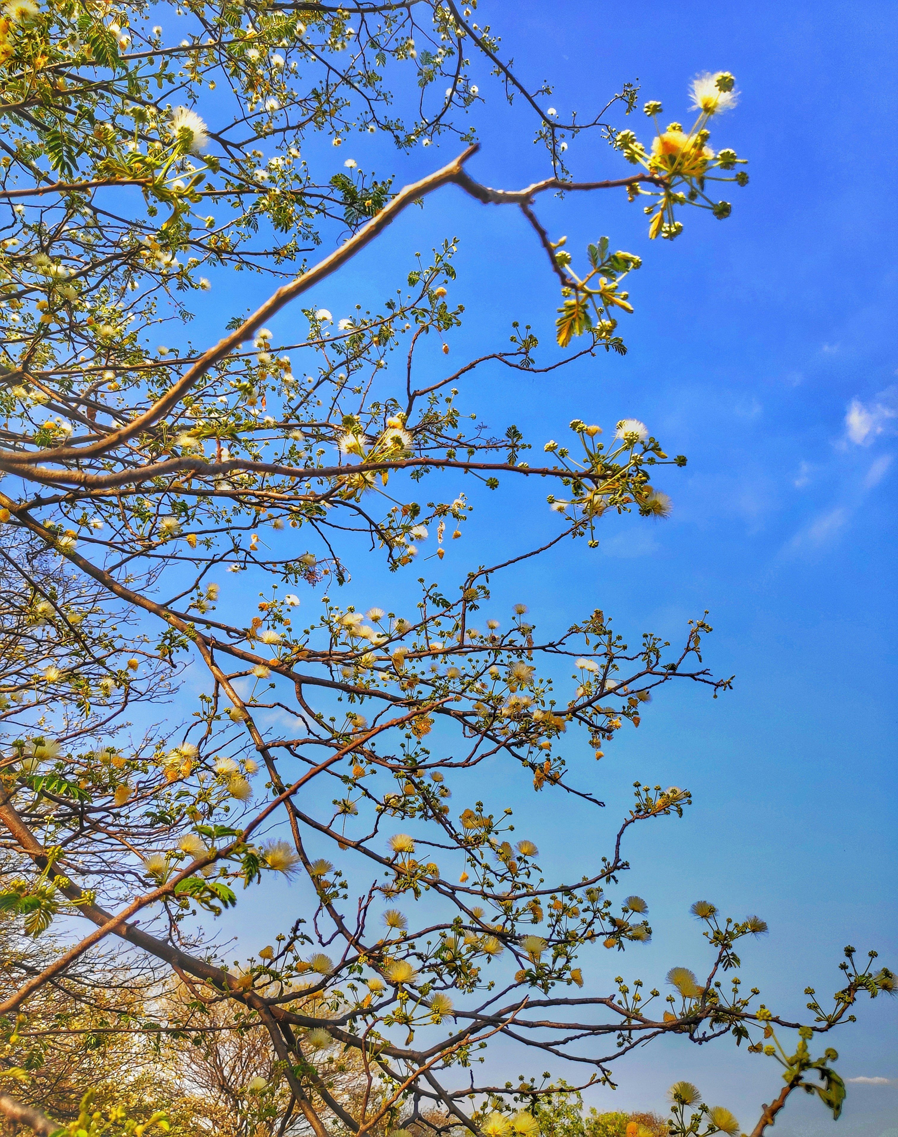 Photo by ragupathi