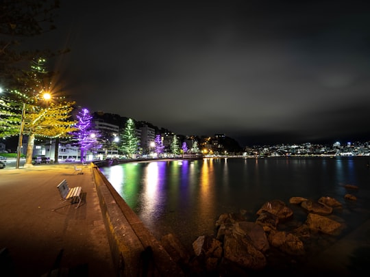 body of water near city lights during night time in Wellington New Zealand