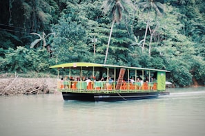 A vibrant green raft with a canopy shelters a group of people seated on colorful chairs as it floats on a calm river. Behind the raft, dense tropical foliage and tall palm trees create a lush backdrop.