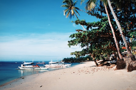 people on beach during daytime