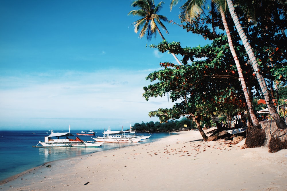 people on beach during daytime