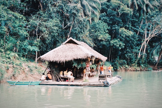 people riding boat on river during daytime in Loboc River Philippines