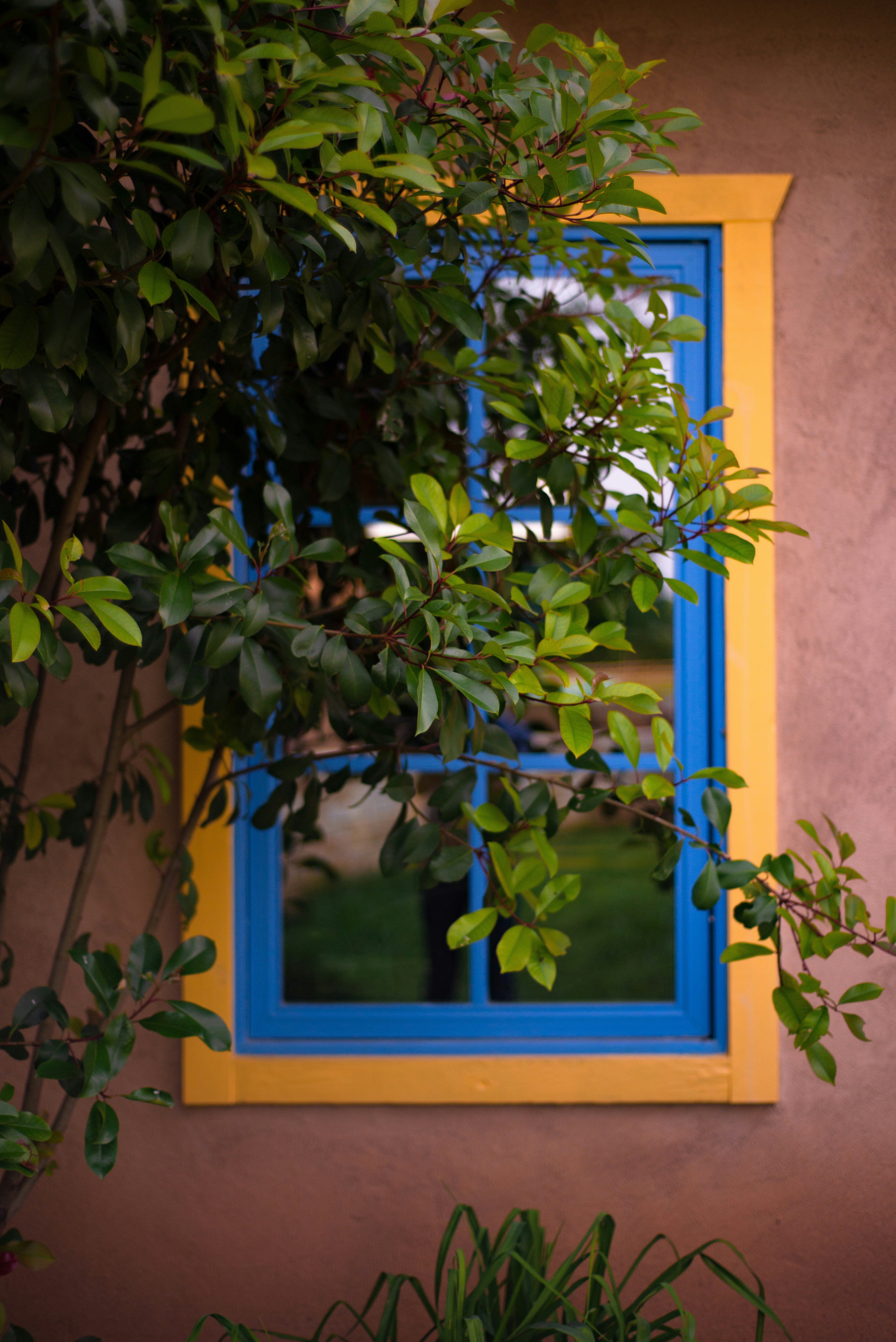 Photo by davidholifield