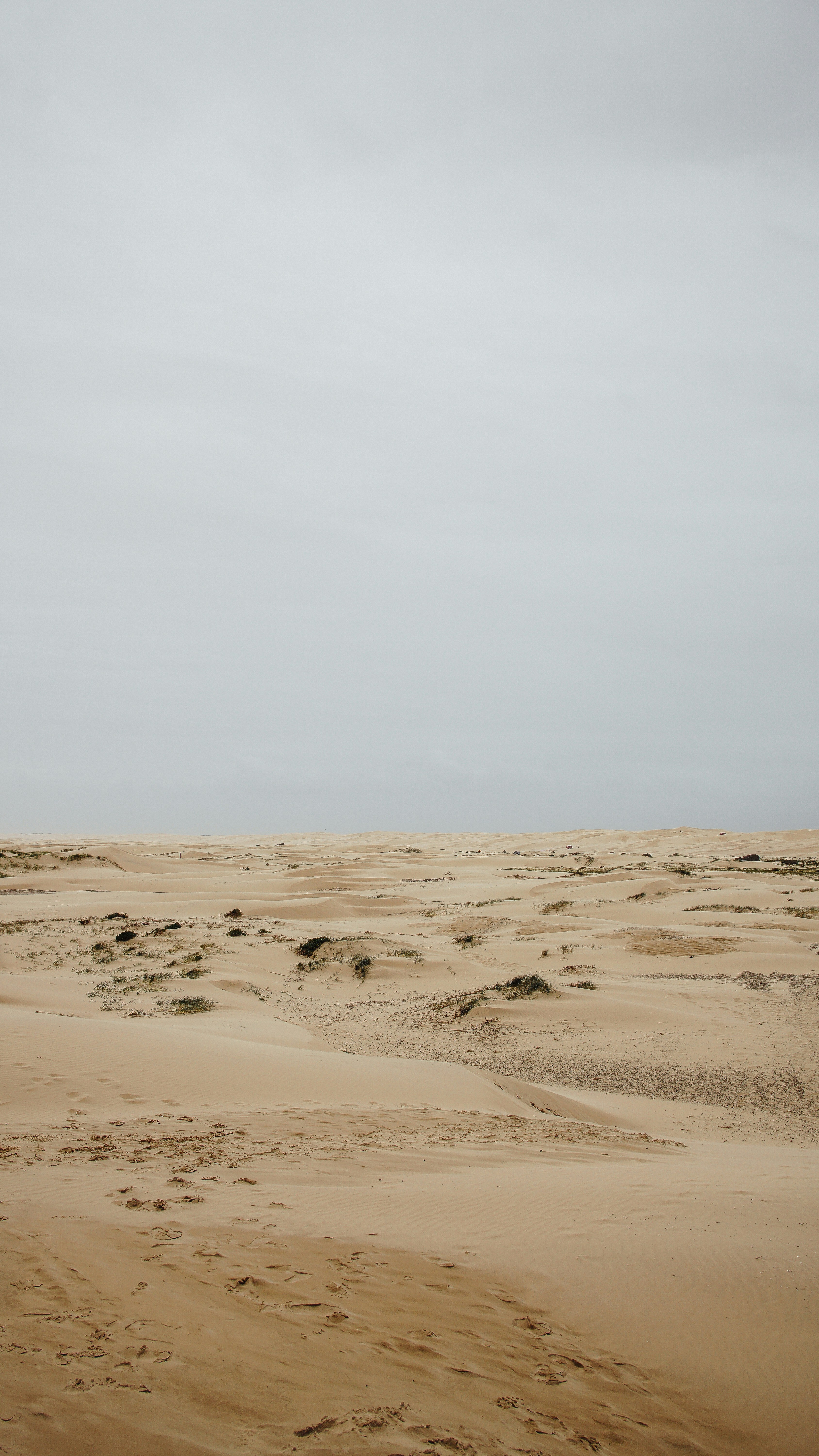 昼間の白い空の下の茶色い砂浜