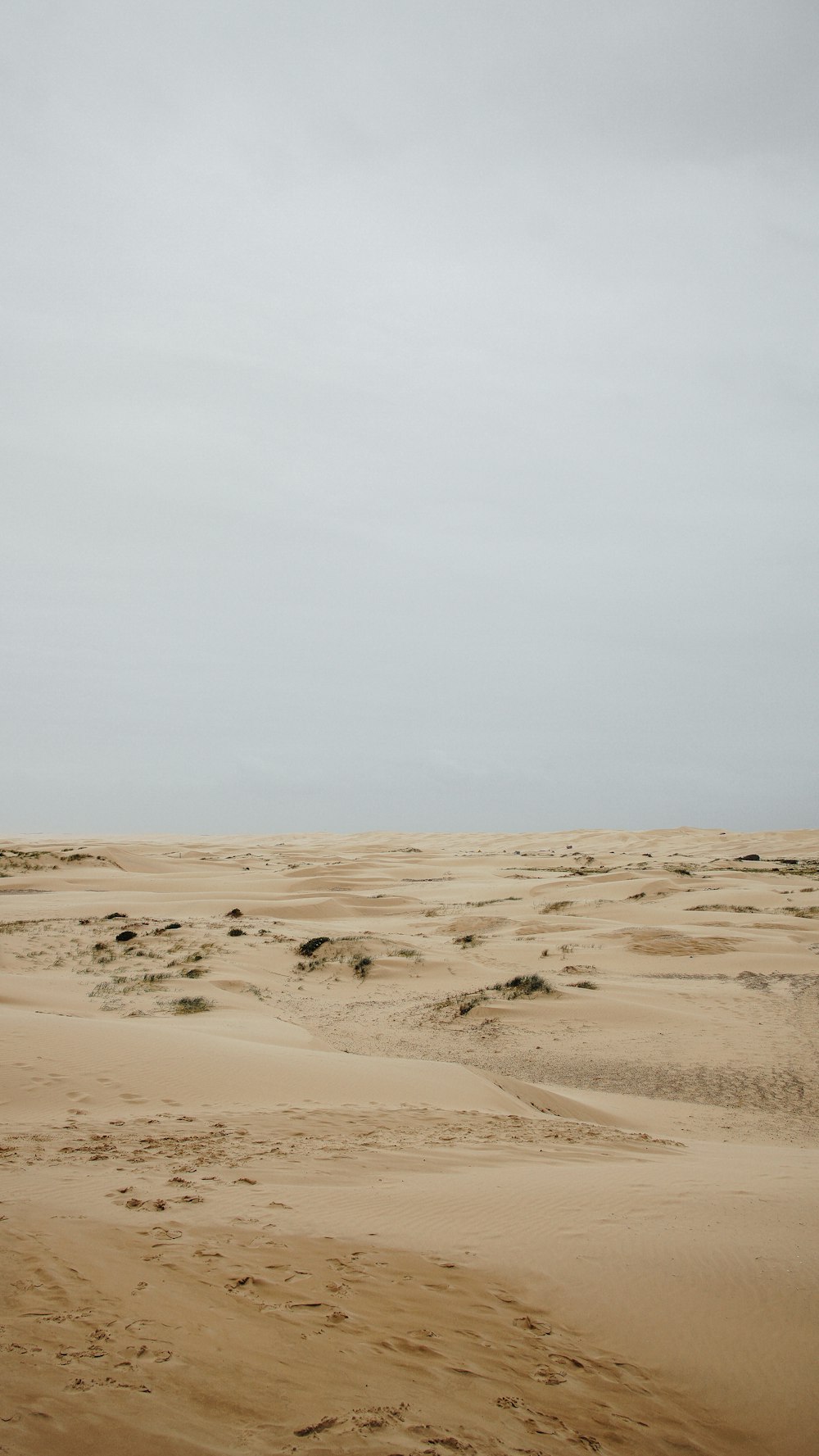 brown sand under white sky during daytime