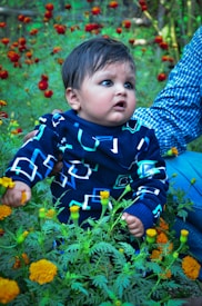 A baby wearing a dark patterned sweater sits among bright orange marigold flowers. An adult's hand is gently supporting the baby from behind, with the adult wearing a blue checkered shirt. The setting appears to be a garden or park.