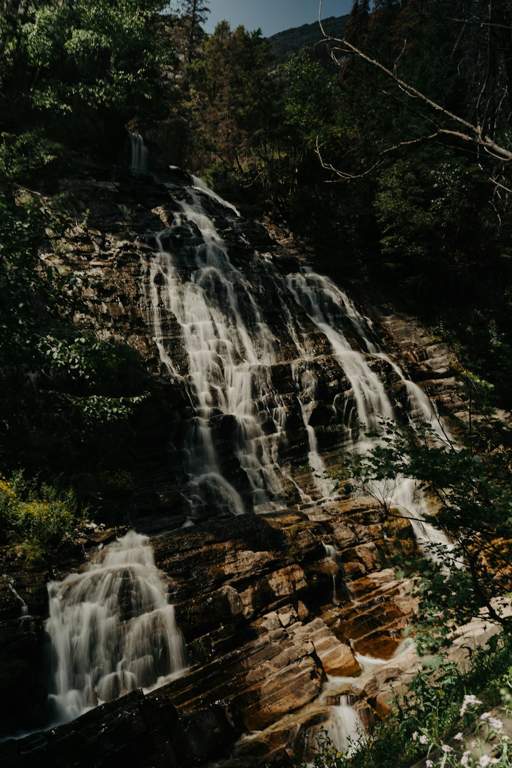 waterfalls in the middle of the forest