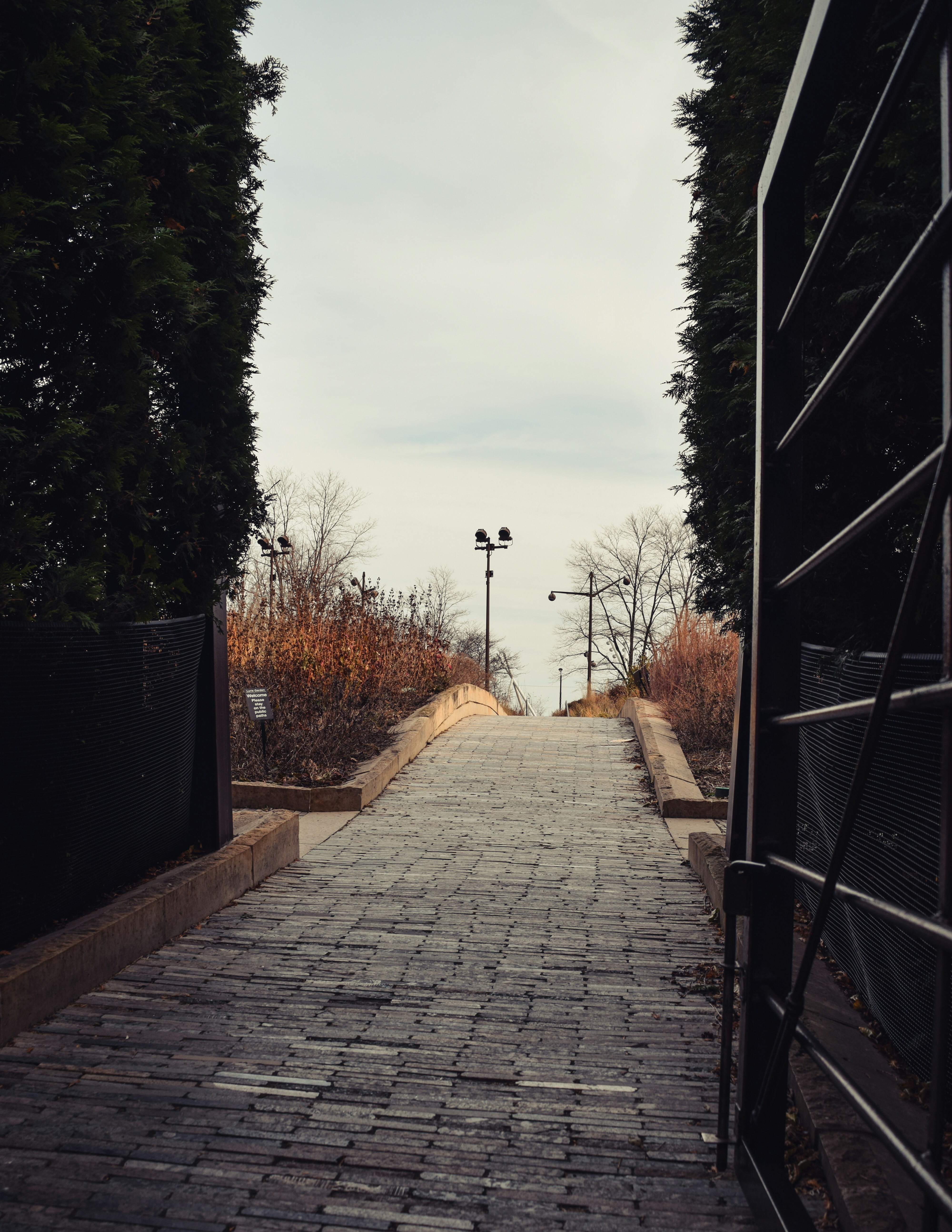 gray concrete pathway between green trees during daytime