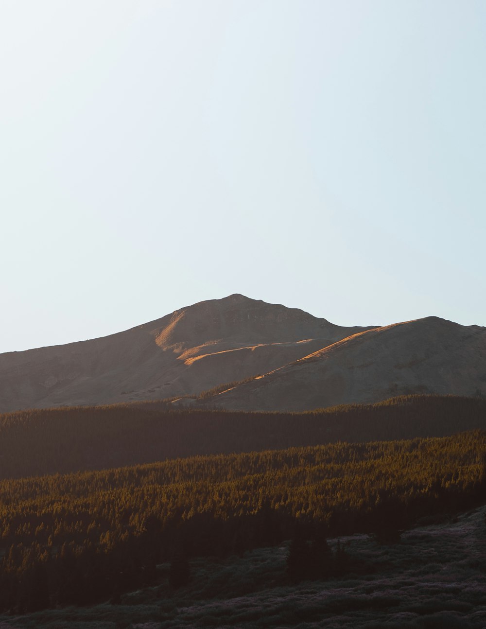 brown mountain under white sky during daytime