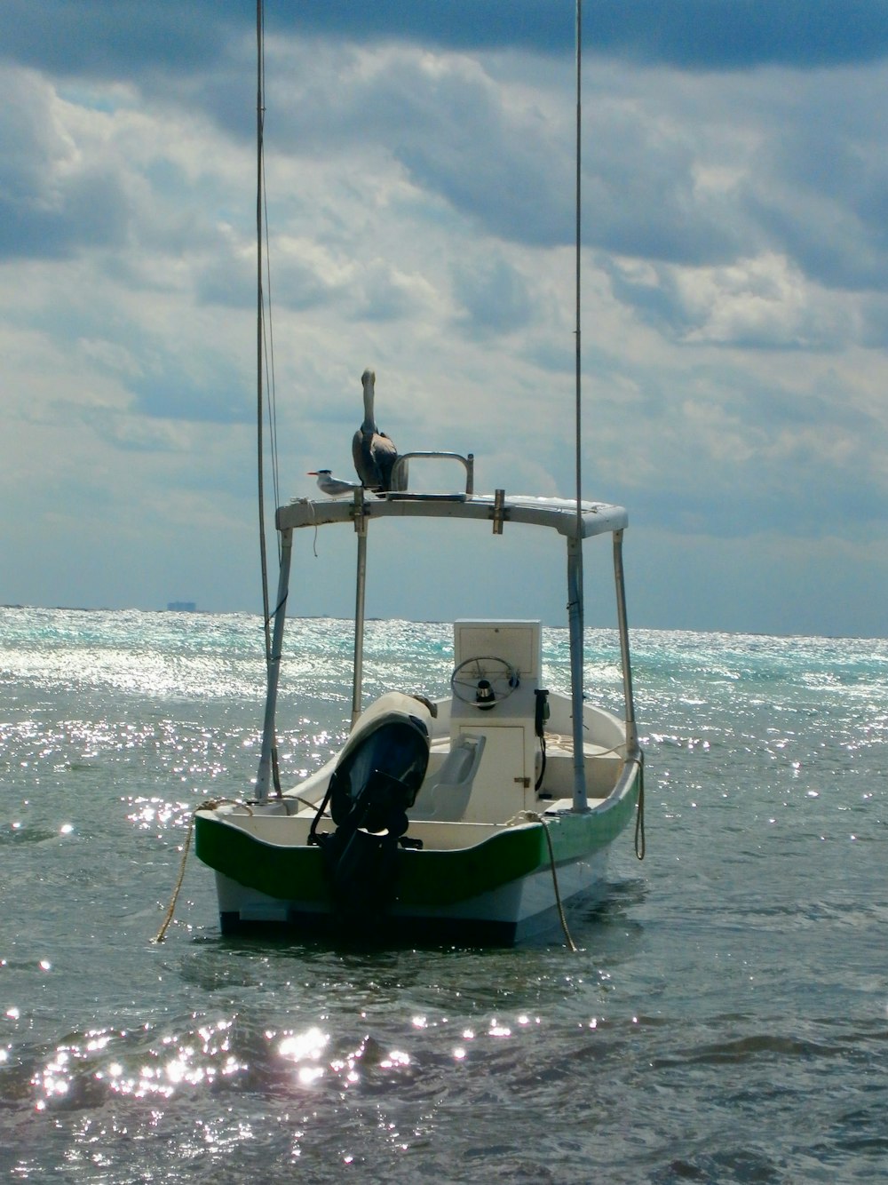man in black shirt riding on blue and white boat on sea during daytime