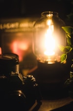 A warm, softly lit portrait of Luna surrounded by plants and vintage computer gear, embodying her cozy, nature-inspired vibe.
