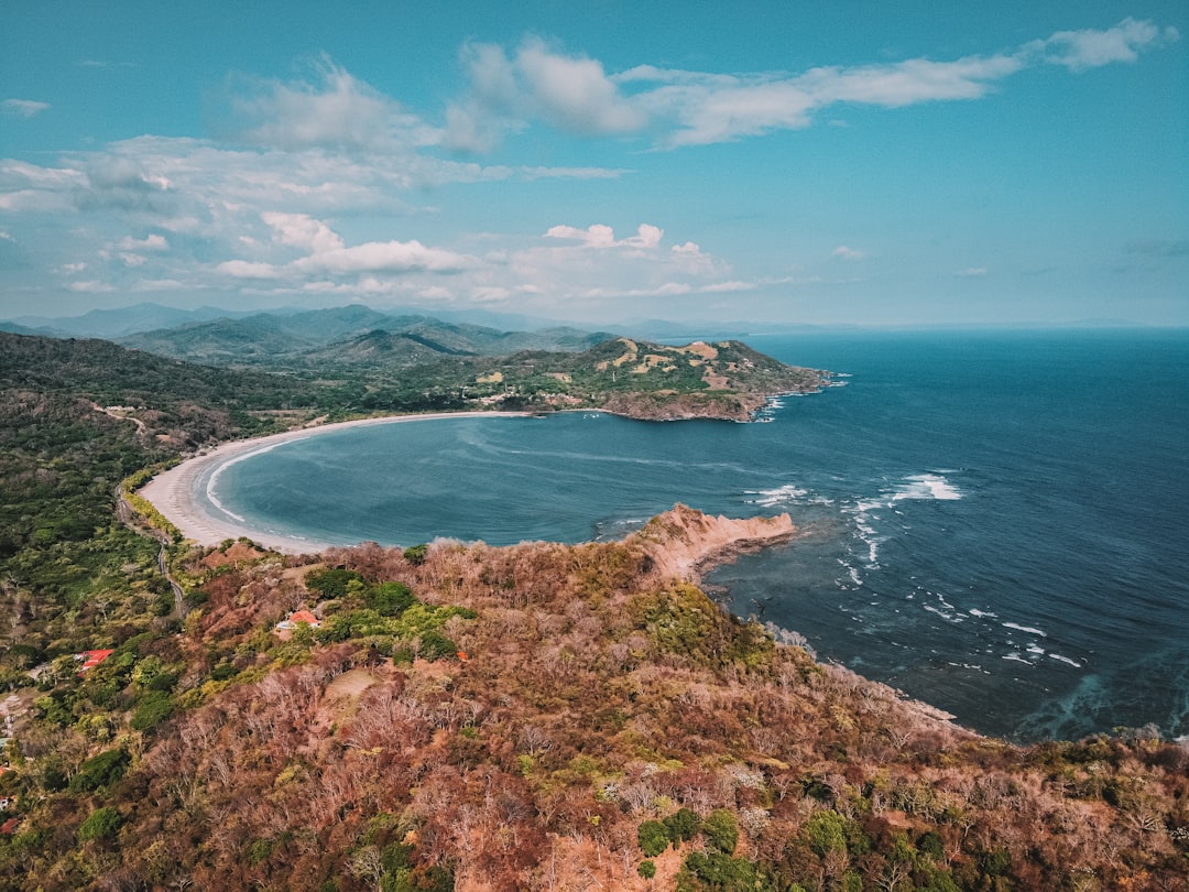 green and brown trees near blue sea under blue sky during daytime