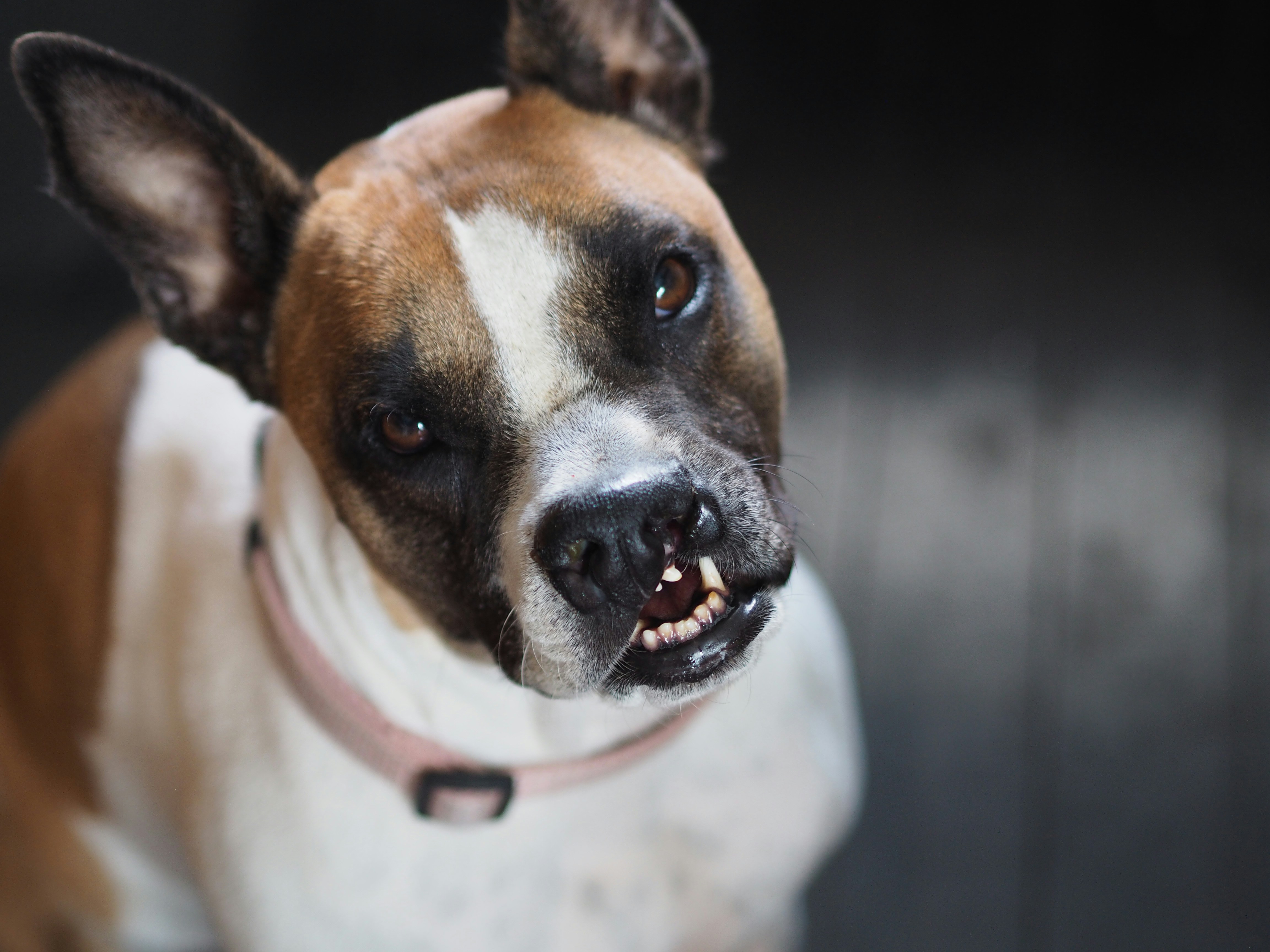 Photo by chargetheglobe