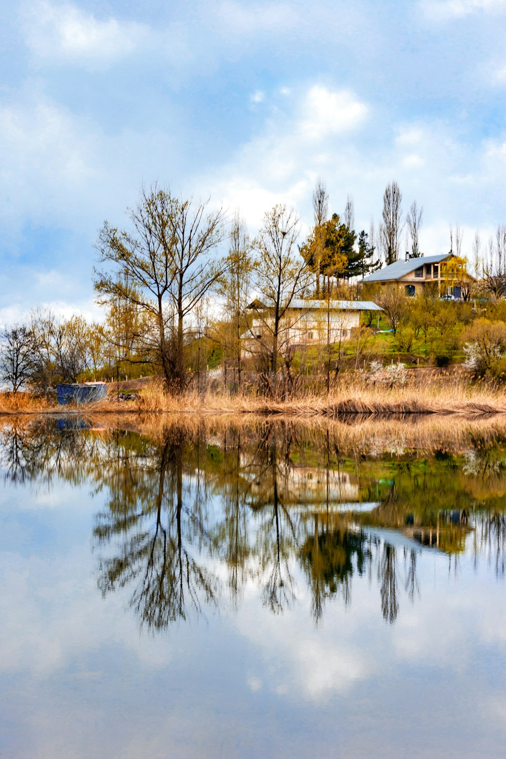 brown grass near body of water during daytime