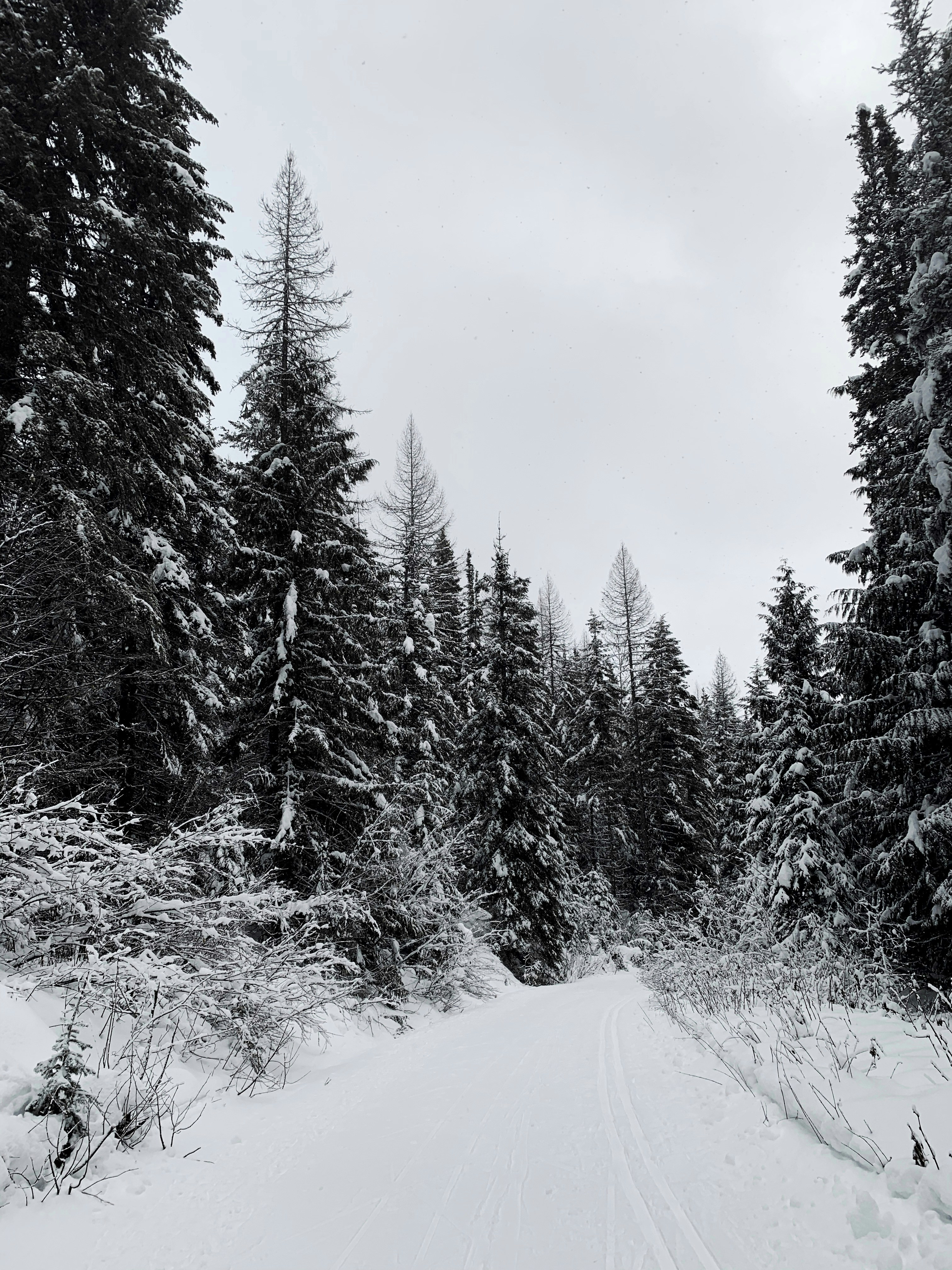 Photo by carathomson