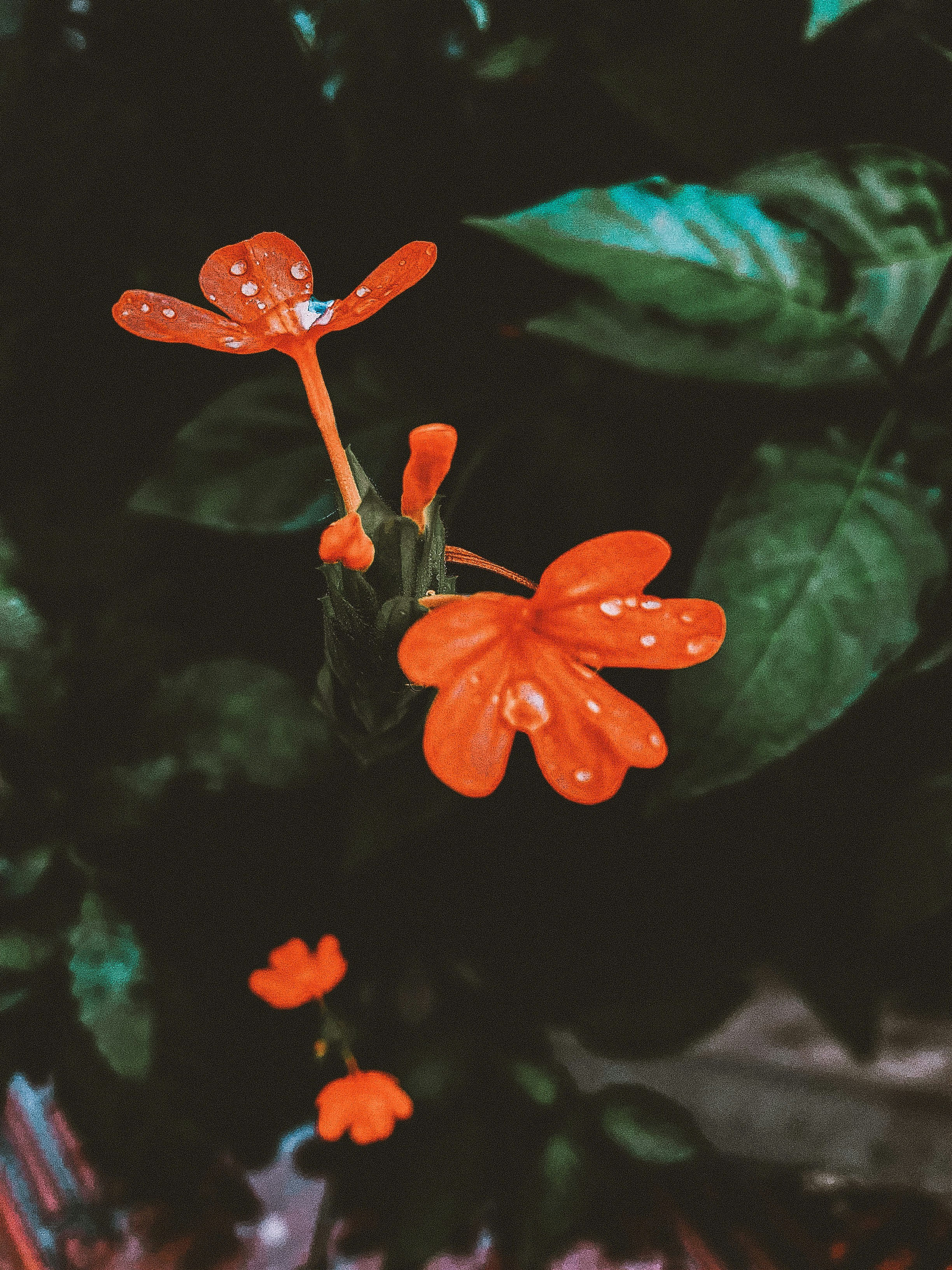 gray computer monitor