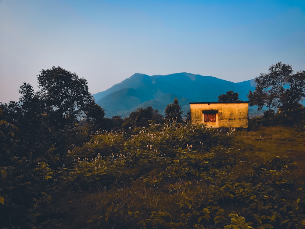 brown concrete house on green grass field near mountain during daytime