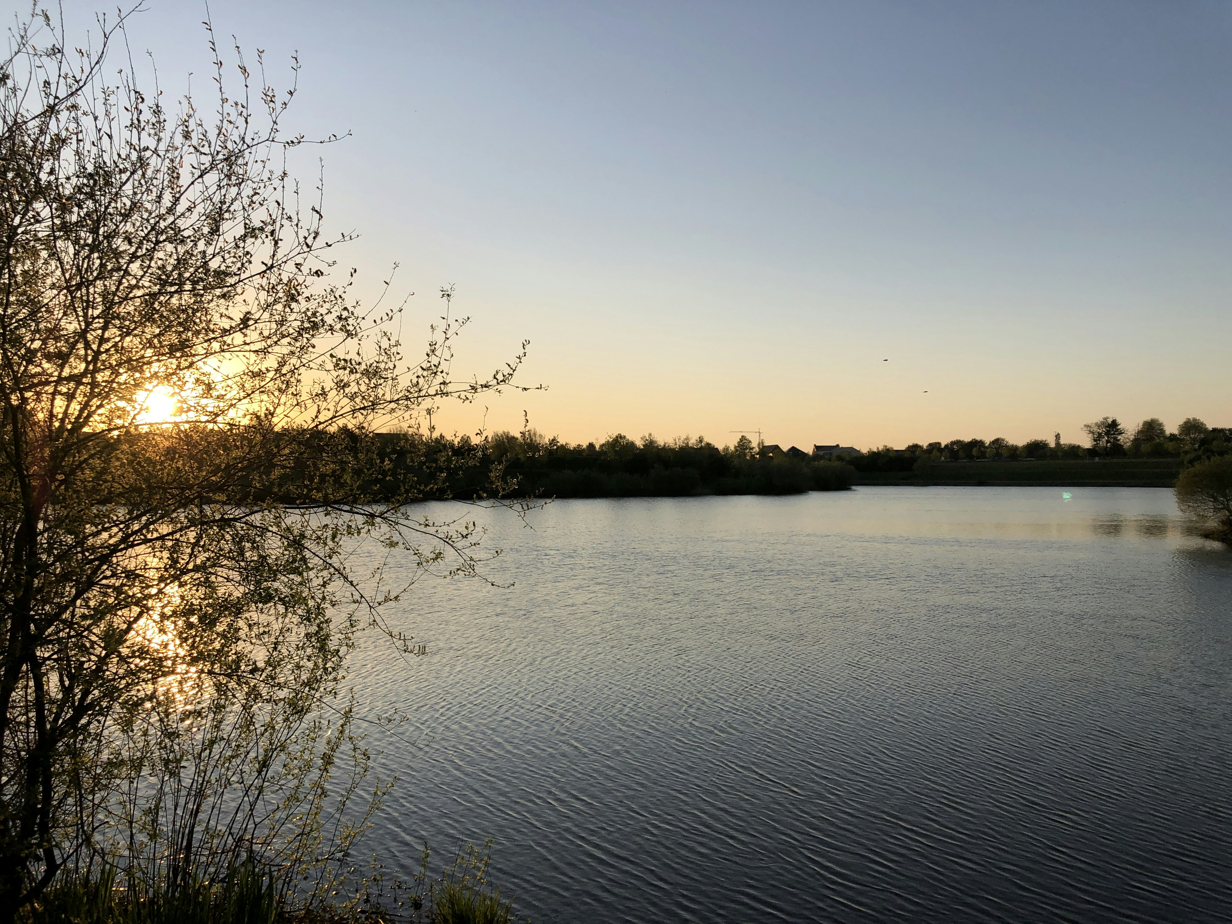 Photo by mondogenerator