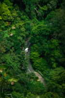 An Inova Reborn vehicle driving along a winding road in Bandung's highlands.