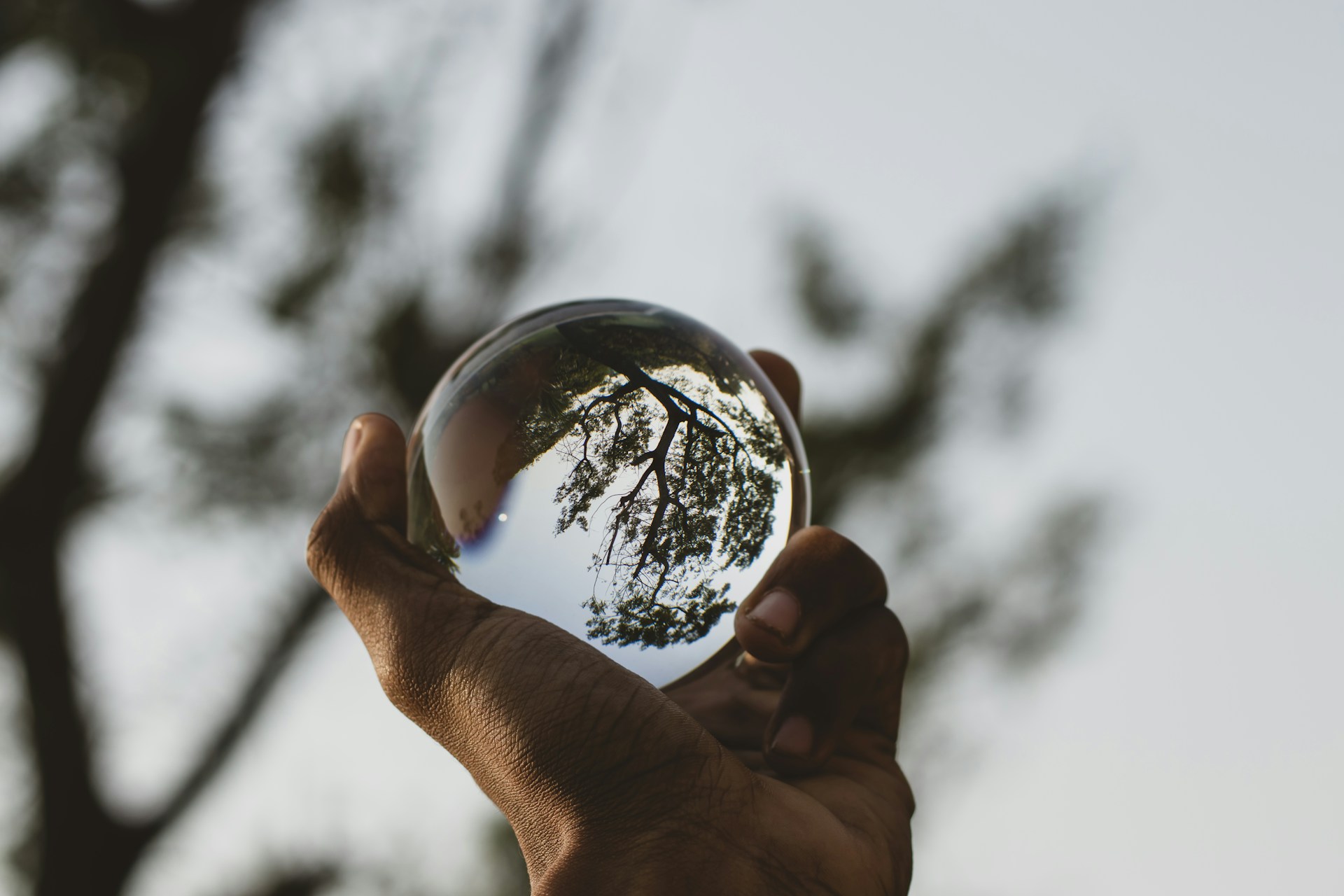 gray computer monitor