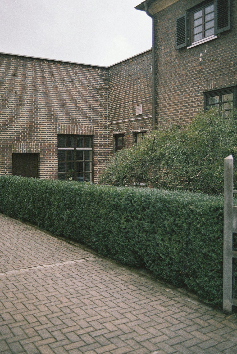 green grass near brown brick wall