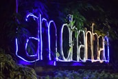 Neon lights form the words 'I am Bengaluru' amidst lush green foliage. The glowing text alternates between blue and white colors, creating a vibrant contrast against the dark background. The natural surroundings, with abundant leafy plants, frame the signage, enhancing its visual appeal.