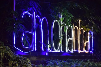 Neon lights form the words 'I am Bengaluru' amidst lush green foliage. The glowing text alternates between blue and white colors, creating a vibrant contrast against the dark background. The natural surroundings, with abundant leafy plants, frame the signage, enhancing its visual appeal.