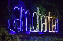 Neon lights form the words 'I am Bengaluru' amidst lush green foliage. The glowing text alternates between blue and white colors, creating a vibrant contrast against the dark background. The natural surroundings, with abundant leafy plants, frame the signage, enhancing its visual appeal.
