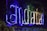 Neon lights form the words 'I am Bengaluru' amidst lush green foliage. The glowing text alternates between blue and white colors, creating a vibrant contrast against the dark background. The natural surroundings, with abundant leafy plants, frame the signage, enhancing its visual appeal.