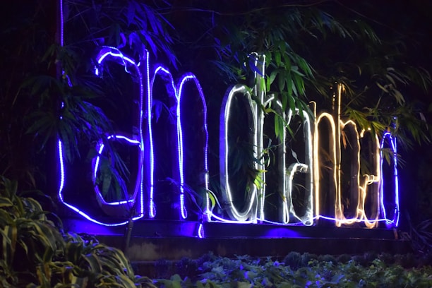 Neon lights form the words 'I am Bengaluru' amidst lush green foliage. The glowing text alternates between blue and white colors, creating a vibrant contrast against the dark background. The natural surroundings, with abundant leafy plants, frame the signage, enhancing its visual appeal.