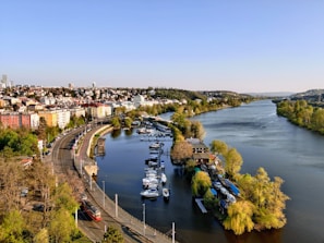 A scenic riverside view captures a peaceful cityscape with a flowing river flanked by lush green trees. Numerous boats are docked along the water's edge, and a vibrant array of buildings lines the opposite bank. A tram can be seen traveling on a road beside the water.