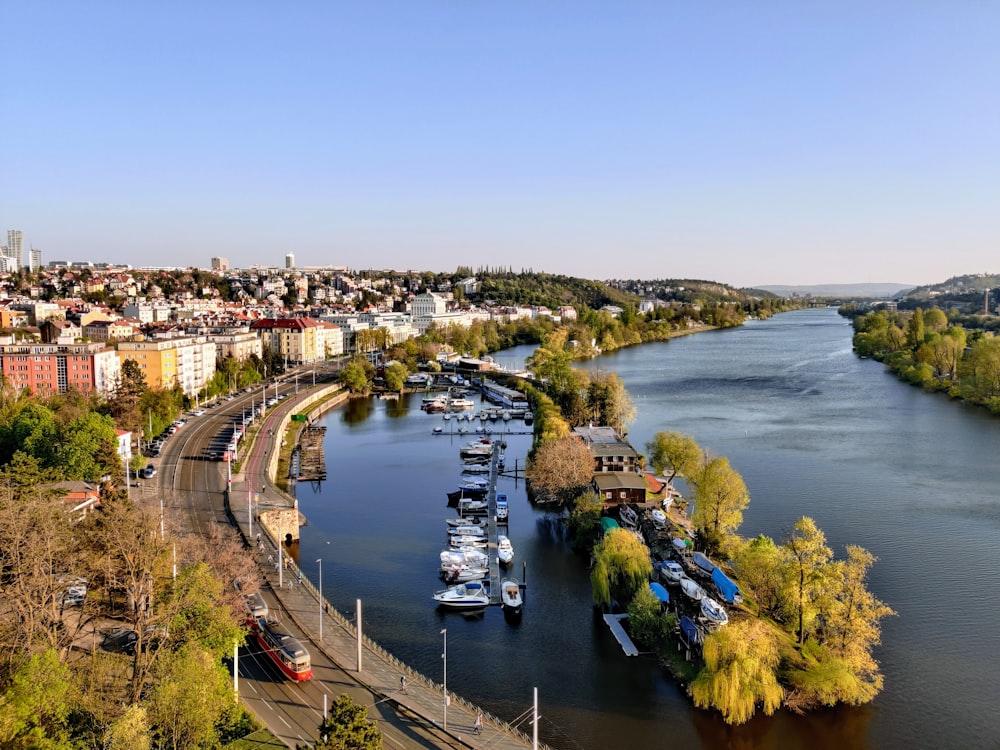 aerial view of city buildings near body of water during daytime