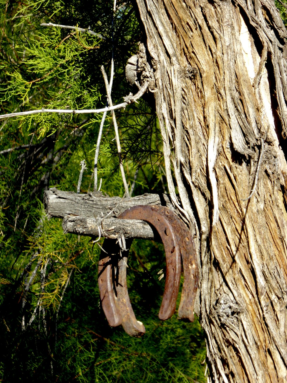 brown wooden tree trunk with green leaves