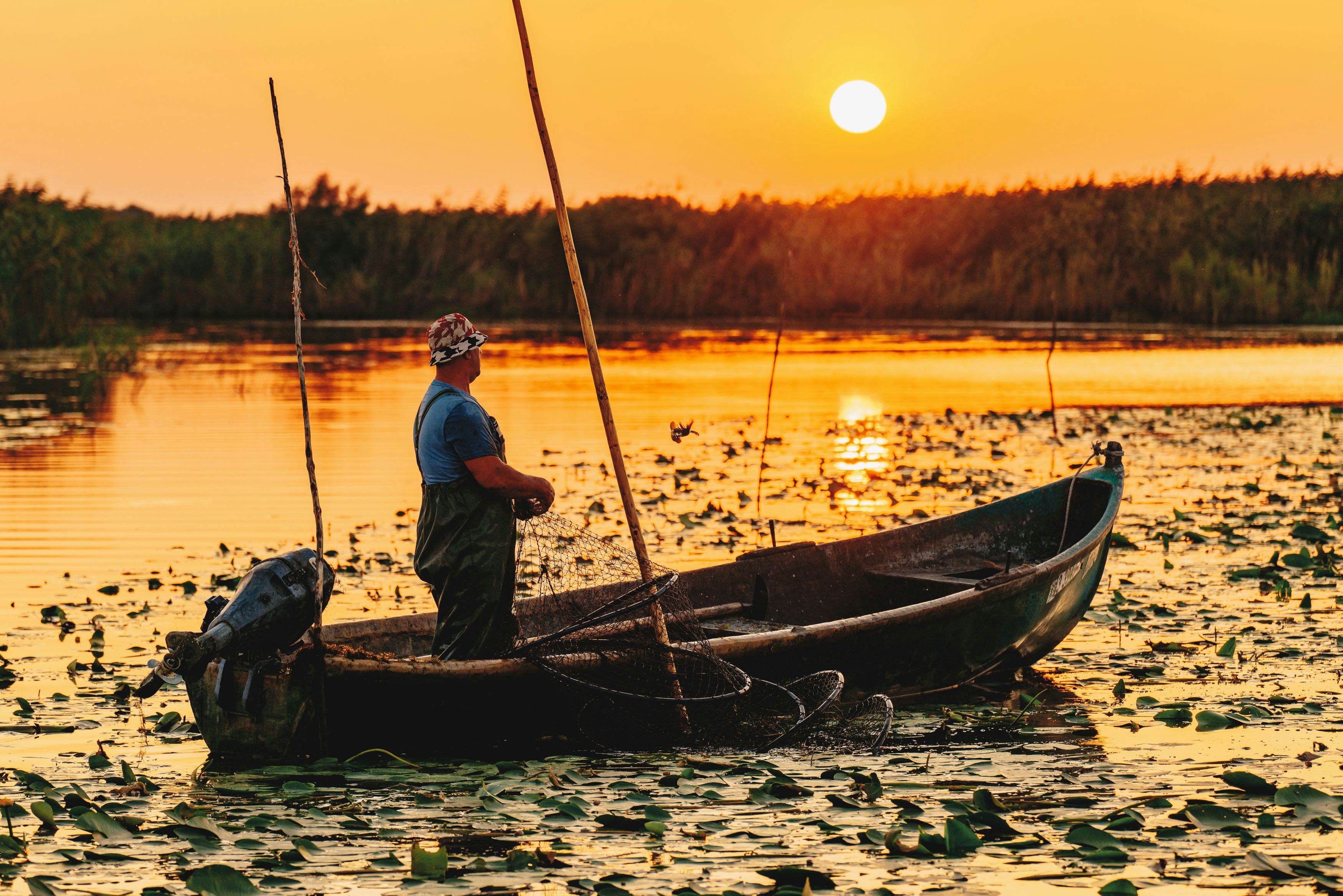 ROMANIA, DANUBE DELTA, AUGUST 2019: Sunrise in the Danube Delta. Fisherman checking the nets overnight catch