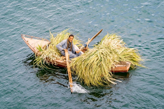 man in white shirt sitting on brown wooden boat on body of water during daytime in Luxor Egypt