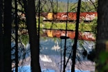 A red freight train with the word 'Canada' on the cars reflects vividly in a calm body of water surrounded by trees. The scene is viewed through dark tree trunks and branches, creating a natural frame. The background includes lush greenery and distant mountains.