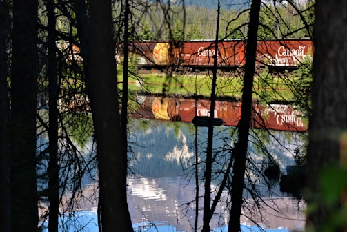 A red freight train with the word 'Canada' on the cars reflects vividly in a calm body of water surrounded by trees. The scene is viewed through dark tree trunks and branches, creating a natural frame. The background includes lush greenery and distant mountains.
