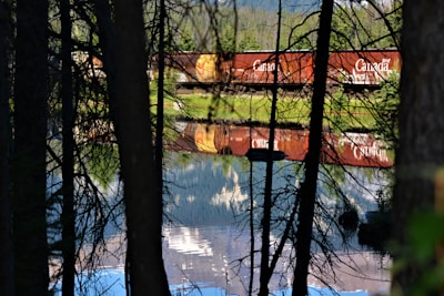A red freight train with the word 'Canada' on the cars reflects vividly in a calm body of water surrounded by trees. The scene is viewed through dark tree trunks and branches, creating a natural frame. The background includes lush greenery and distant mountains.