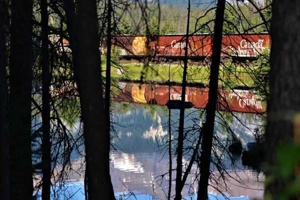 A red freight train with the word 'Canada' on the cars reflects vividly in a calm body of water surrounded by trees. The scene is viewed through dark tree trunks and branches, creating a natural frame. The background includes lush greenery and distant mountains.