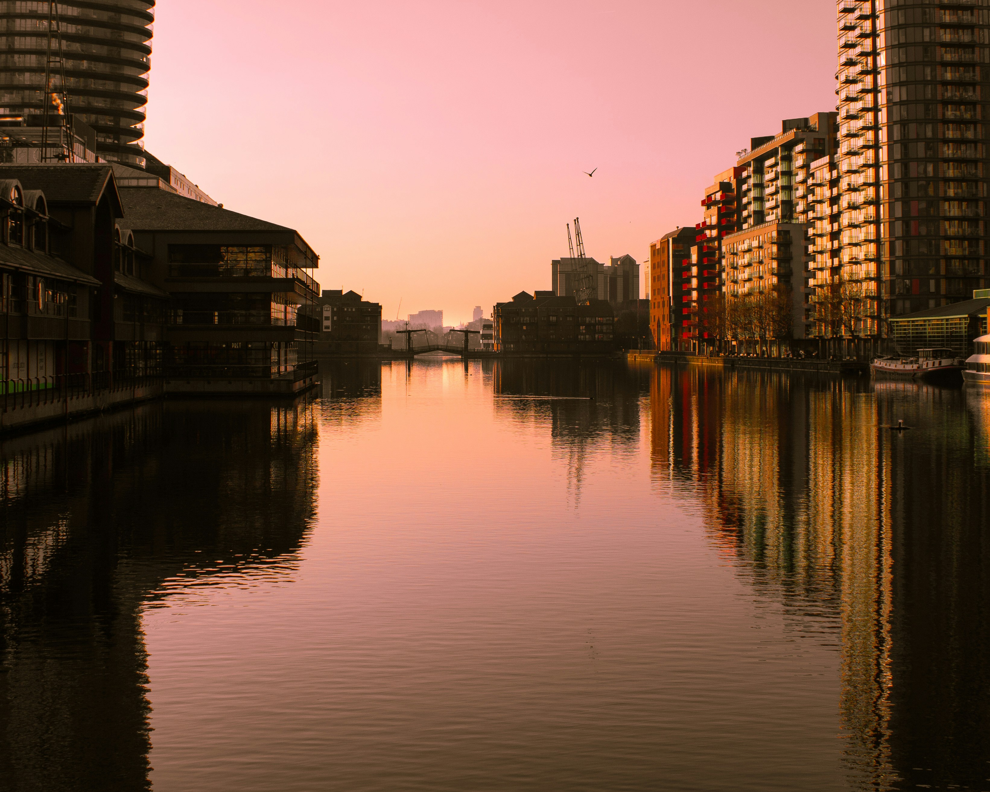 Photo by orangetiephotography