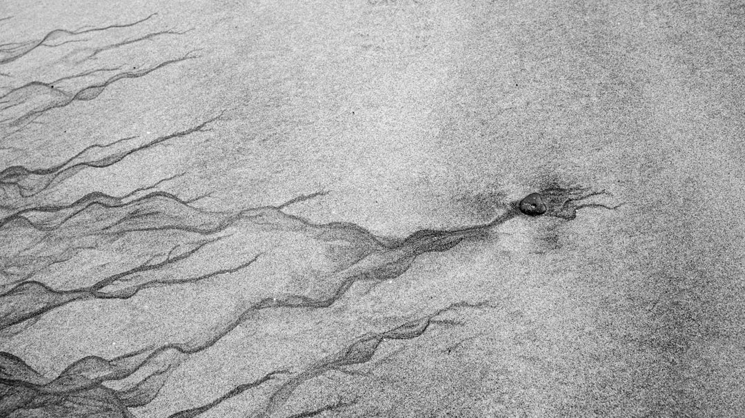 black and white rope on gray sand