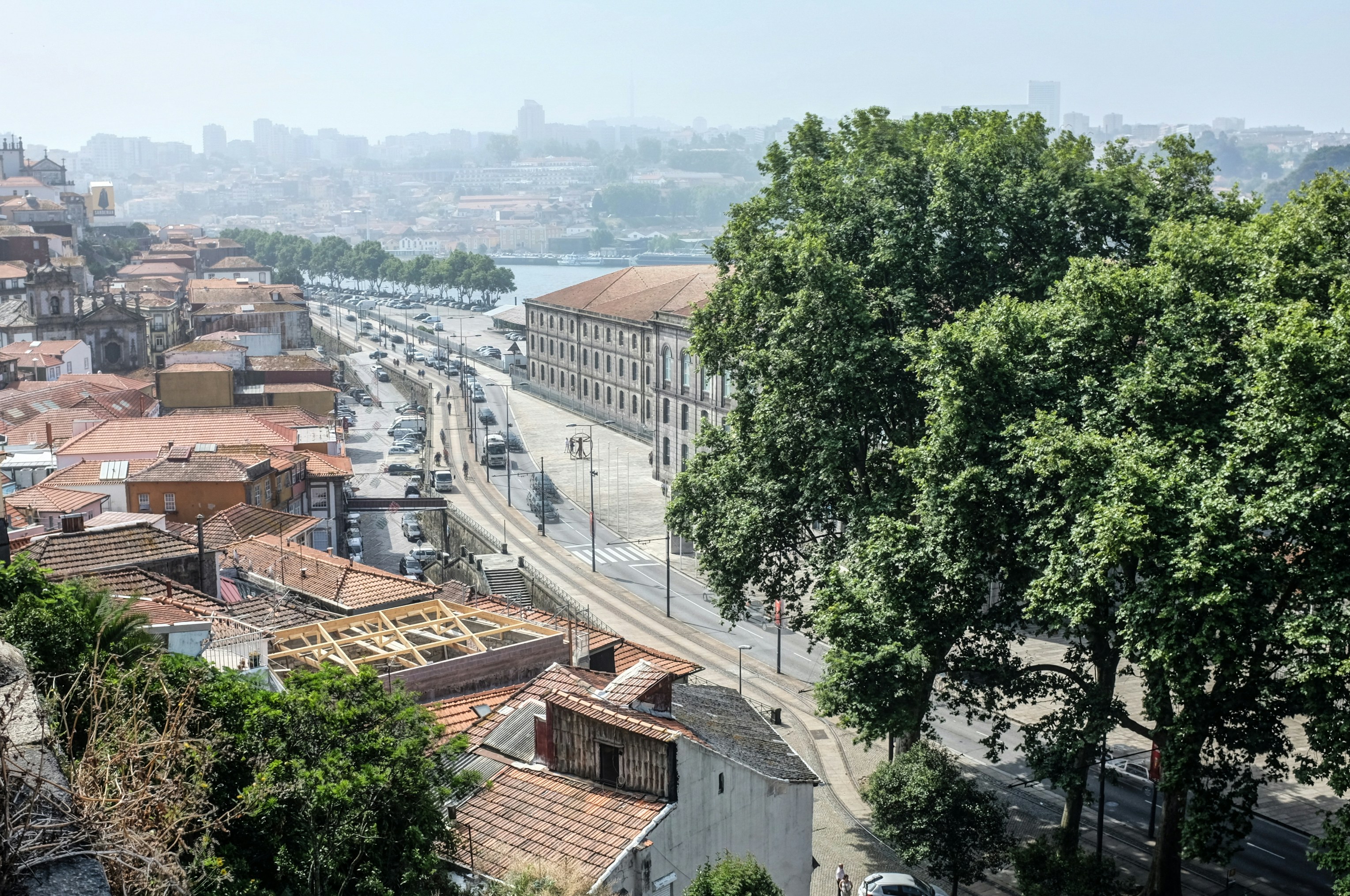 árvore verde perto de edifícios de concreto marrom e branco durante o dia