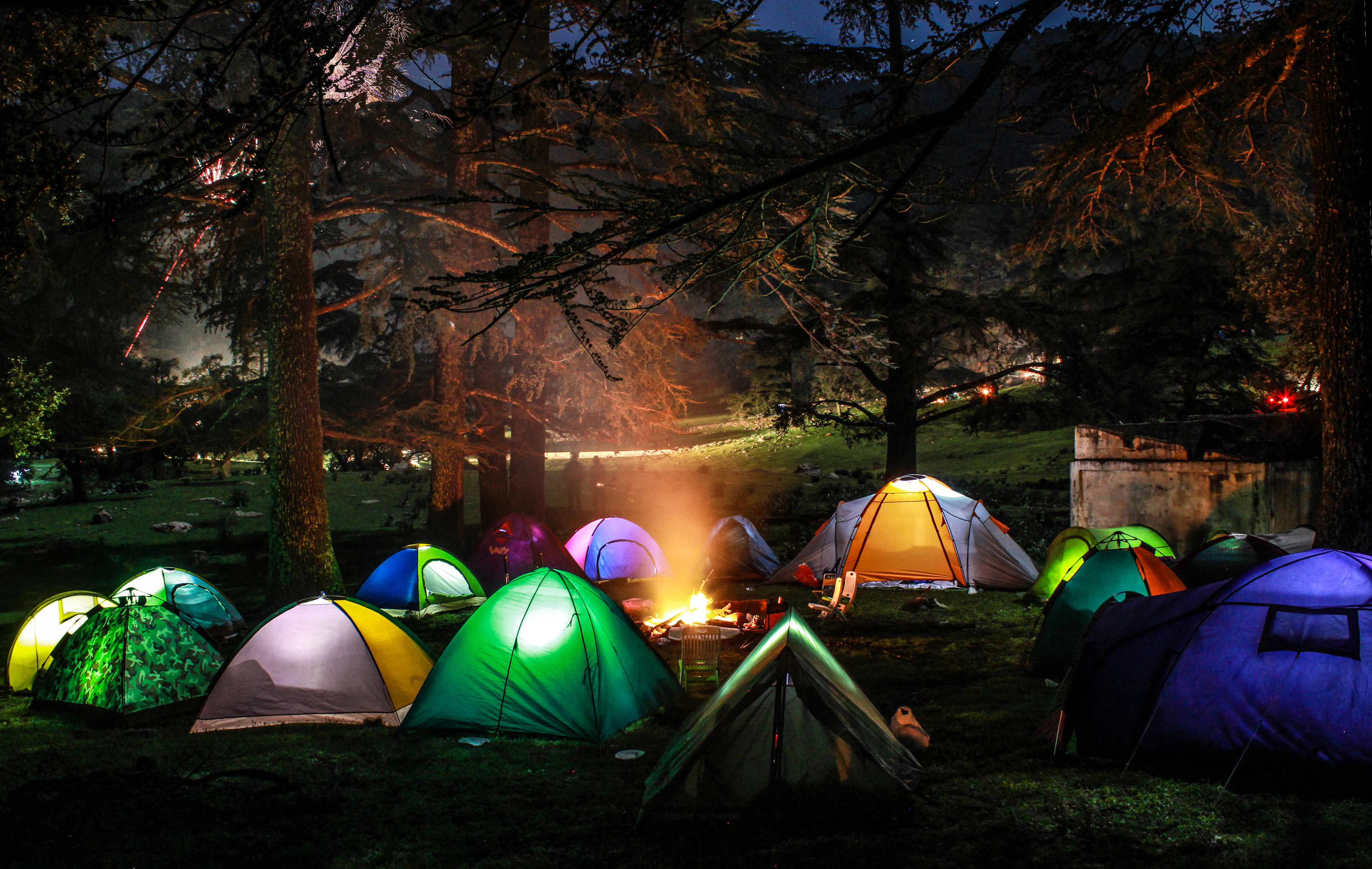 Jobra Forest Camp