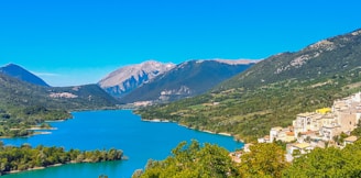 green trees near body of water under blue sky during daytime