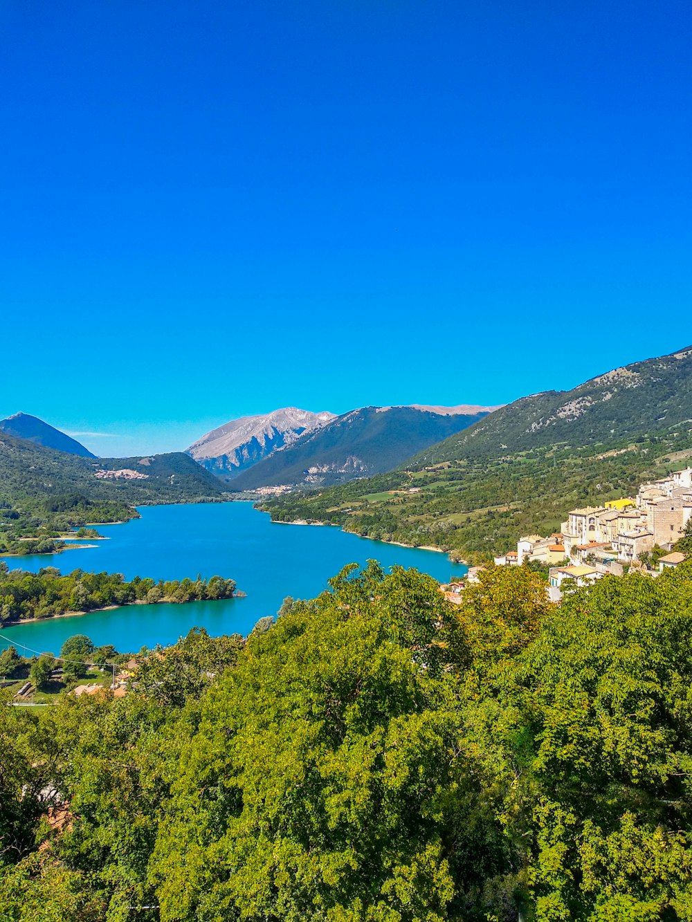 árboles verdes cerca del cuerpo de agua bajo el cielo azul durante el día