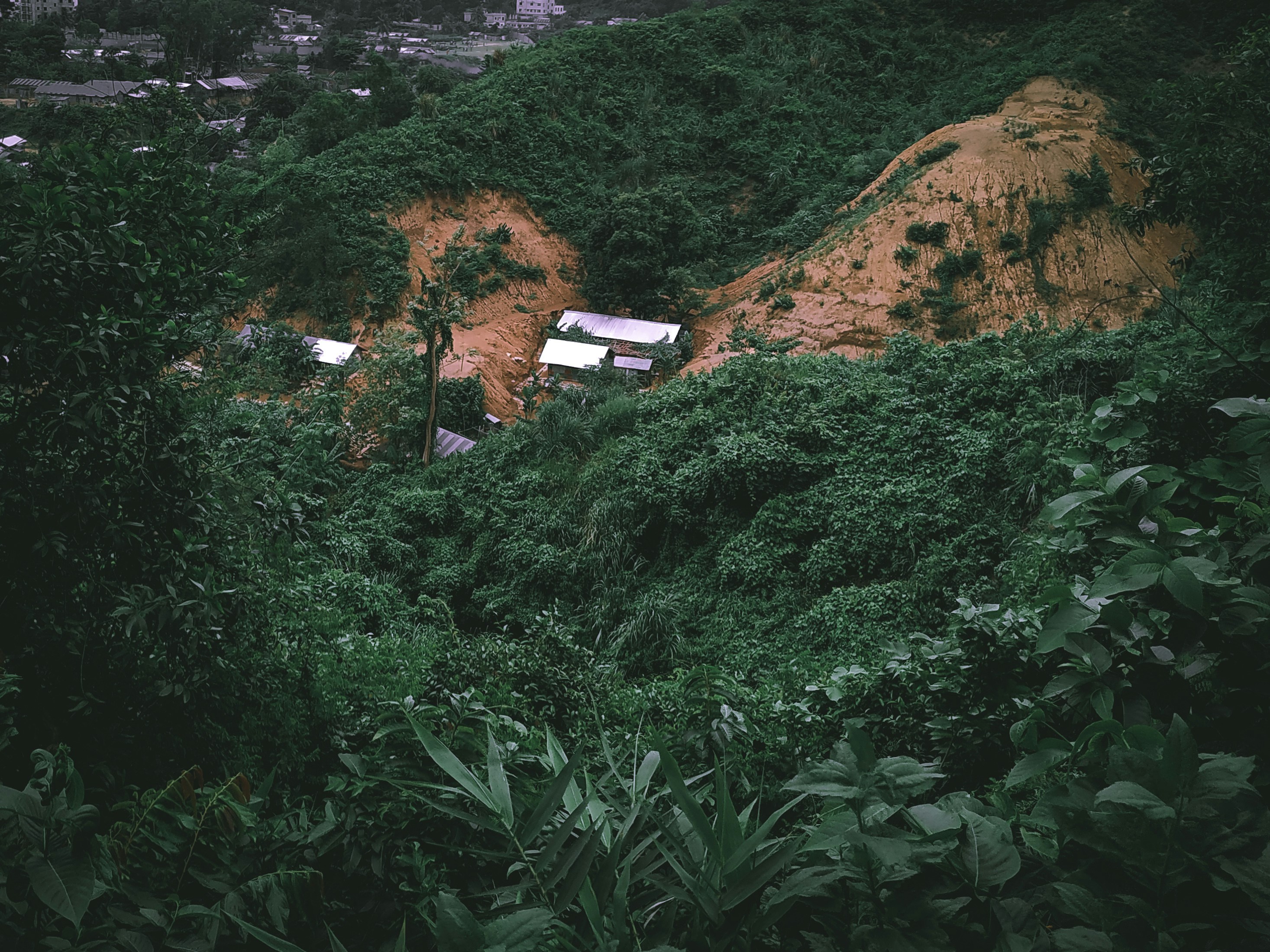 Photo by tareq_hasan