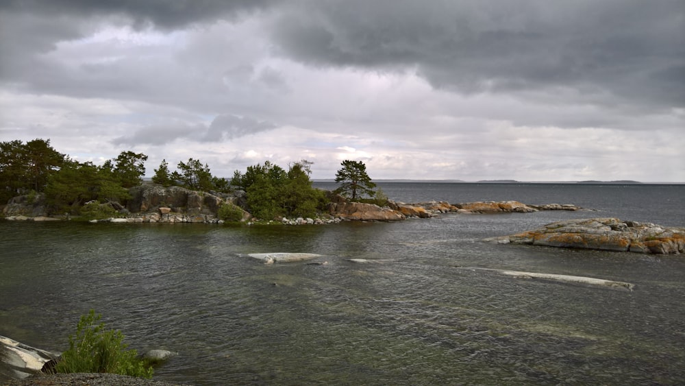 a body of water surrounded by trees and rocks